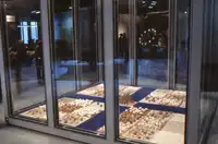 Le premier œuf