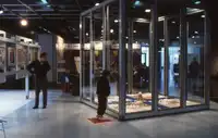 Le premier œuf