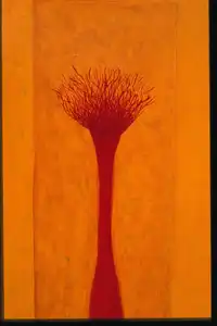 Jaunes
