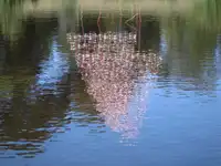 L'infini vertical