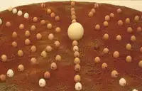 L'œuf de Bohr