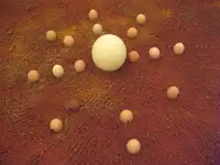 L'œuf de Bohr