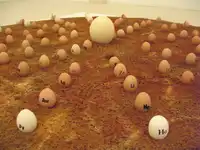 L'œuf de Bohr