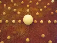 L'œuf de Bohr