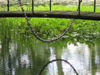 Rendez-vous au jardin