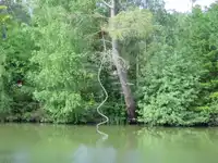 Rendez-vous au jardin
