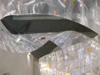 Une infinie auréole