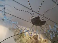 Dispositives d'œufs