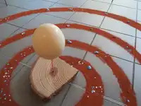 Dispositives d'œufs