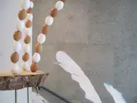 Dispositives d'œufs