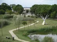 Ailes de Gironde