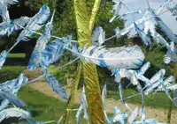 Plumes de vélo