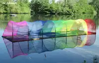 Naissance d'un arc-en-ciel