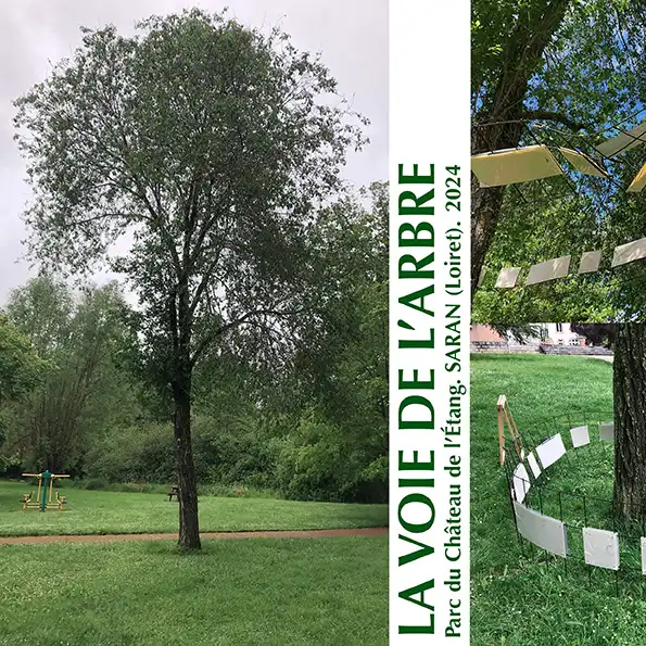La voie de l’arbre